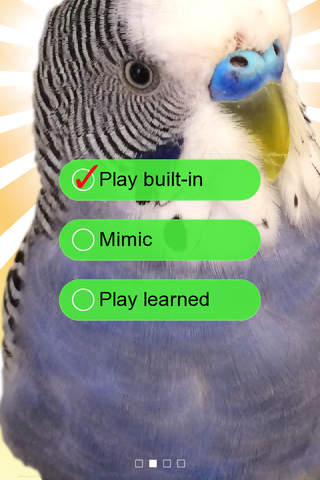 Parakeet Pal screenshot 2