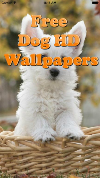Dog Wallpapers Free