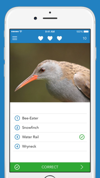 【免費書籍App】iKnow Birds 2 LITE - The Field Guide to the Birds of Europe-APP點子