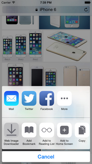 Web Image Downloader for iOS 8 Available for Safari