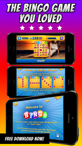 BINGO LADY FORTUNE - Play Online Casino and Gambling Card Game for FREE