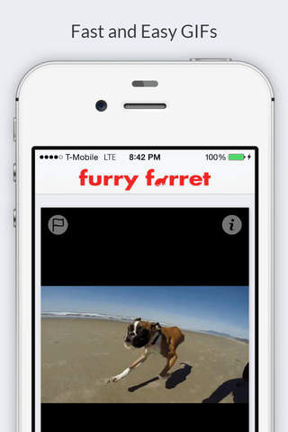 Furry Ferret - GIFs, GIFs, and GIFs screenshot 2