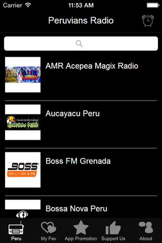 Peruvians Radio screenshot 3