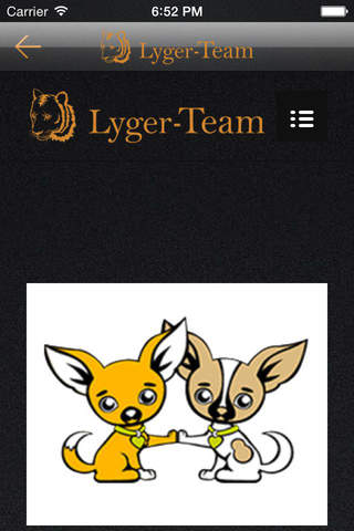 Lyger-Team Webbyrå screenshot 4