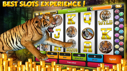 Screenshot 1 Игры слоты — дом казино Spin и результат — победа — это!