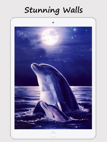 免費下載生活APP|Dolphin Wallpapers - Best Collections Of Dolphin Pictures app開箱文|APP開箱王