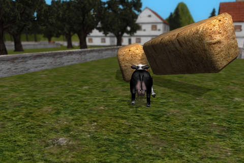 Crazy Cow Simulator - Free screenshot 3