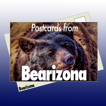 Postcards from Bearizona LOGO-APP點子