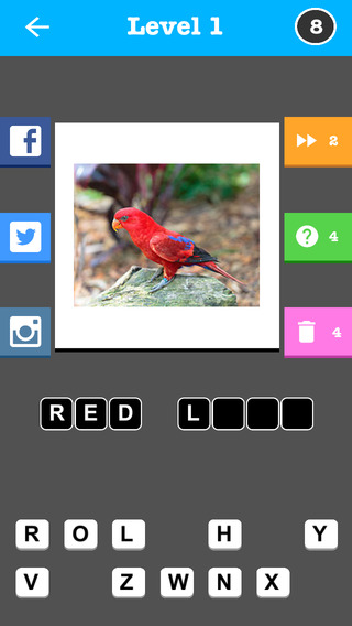 Bird Trivia - Word Quiz Game
