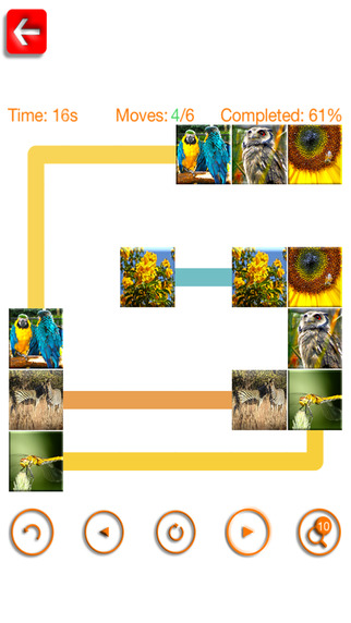 免費下載遊戲APP|Match The Animals And Flowers - Picture Matching Game app開箱文|APP開箱王