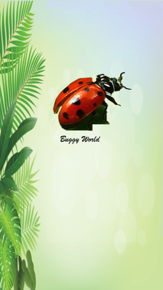 免費下載教育APP|Buggy World app開箱文|APP開箱王