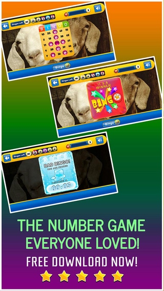 免費下載遊戲APP|Bingo PRO - Play Online Casino and Number Card Game for FREE ! - Zoolander Edition app開箱文|APP開箱王
