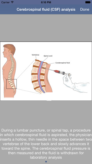 alternative medicine essays alternative medicine essays
