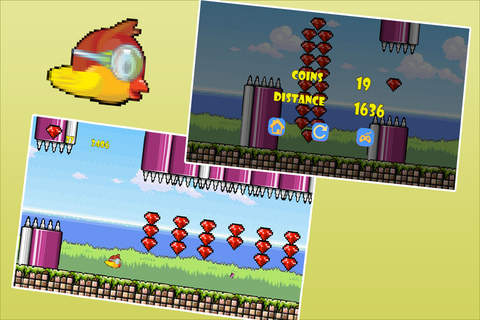 Adorable Koko Birdy First Flight Pro : An impossible journey with wings in paradise screenshot 3