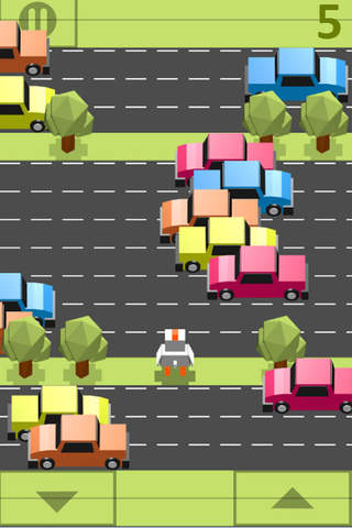 Traffic Car Game Adventure screenshot 3