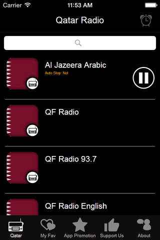 Qatar Radio Online Stations screenshot 2