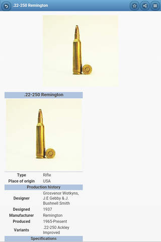 Ammunition screenshot 3