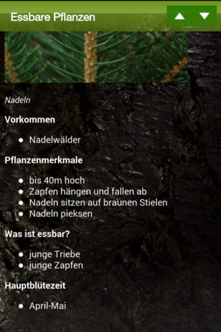 Essbare Pflanzen PRO screenshot 2