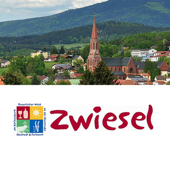 Zwiesel App LOGO-APP點子