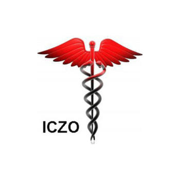 ICZO LOGO-APP點子