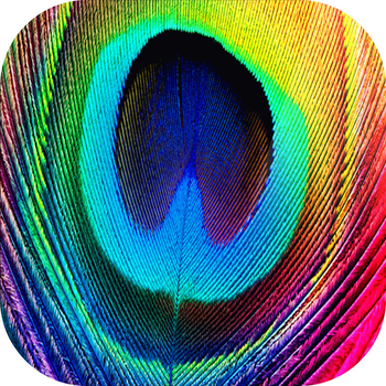 Feather HD Wallpapers LOGO-APP點子