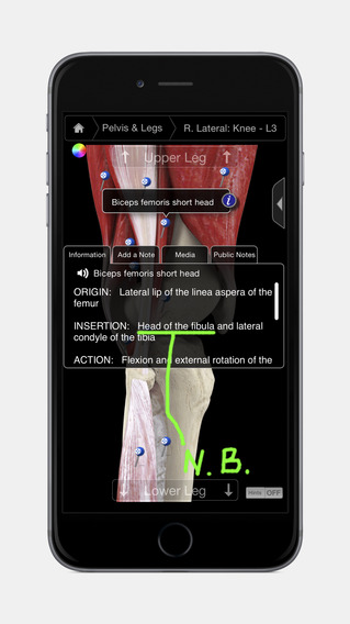 iPhone Screenshot 2