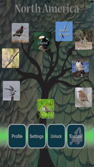 Kea: Learn Birds Through Play