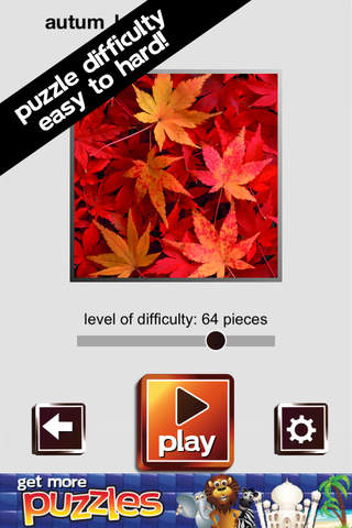 Thanksgiving Puzzles screenshot 3