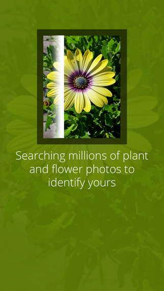 【免費教育App】LikeThat Garden – Flower Identification-APP點子