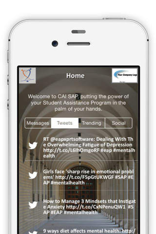 CAI SAP screenshot 2