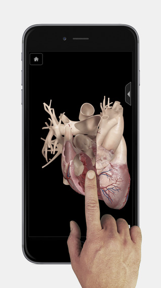 iPhone Screenshot 1