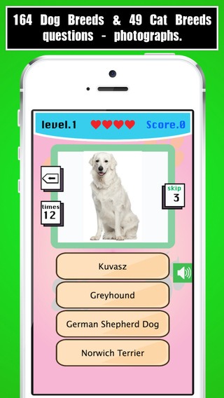 【免費遊戲App】Dog Breed Quiz, Cat Breed Quiz-APP點子