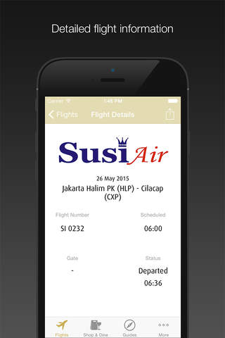 Halim Perdanakusuma Airport screenshot 2