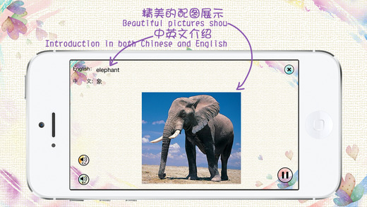 免費下載教育APP|Chinese and English Vocabulary: audio and pictorial flashcards for kids app開箱文|APP開箱王