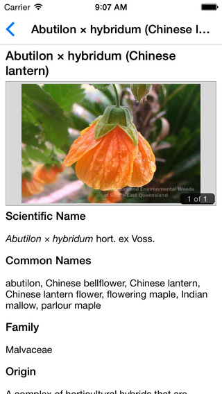 【免費書籍App】Weeds of South East QLD Lite-APP點子