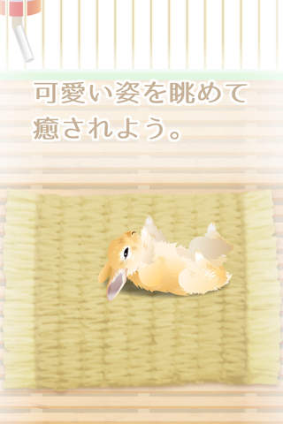 Virtual Therapeutic Rabbit Pet screenshot 3
