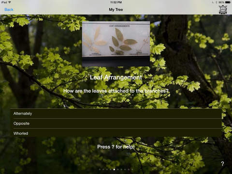 【免費教育App】Tree Seeker-APP點子