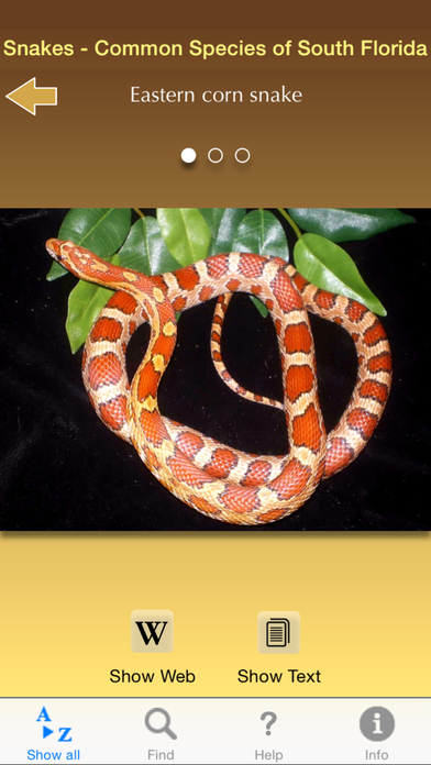 Snakes – Common Species Of South Florida - AppPicker