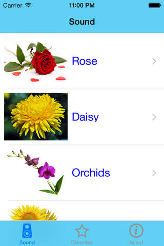 Free Mobile Learning Flower in 13 Languages screenshot 2