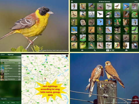 免費下載書籍APP|All Birds Germany - A Complete Field Guide of all the Birds Recorded in Germany app開箱文|APP開箱王