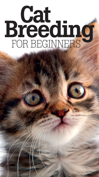 Cat Breeding For Beginners