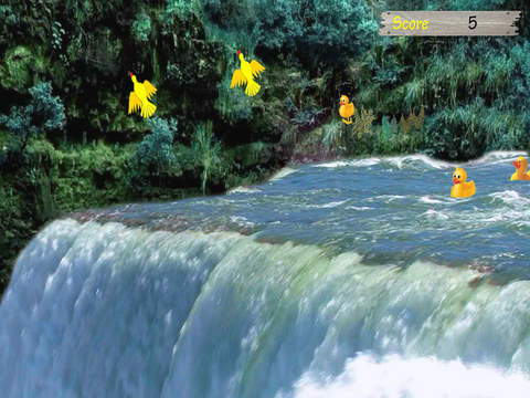 Duck Rescue - waterfall