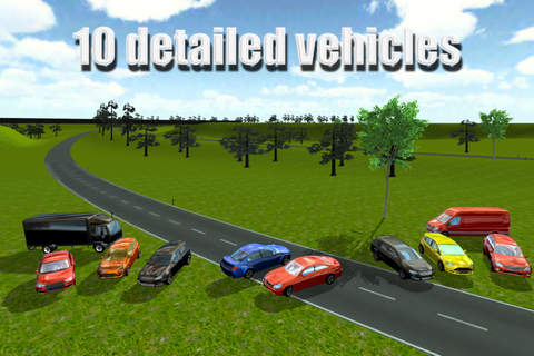 Driving Simulator 2014 screenshot 4