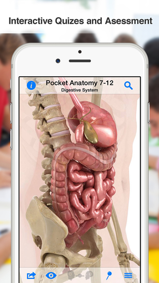 免費下載教育APP|High School Anatomy app開箱文|APP開箱王