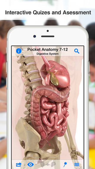 【免費教育App】High School Anatomy-APP點子