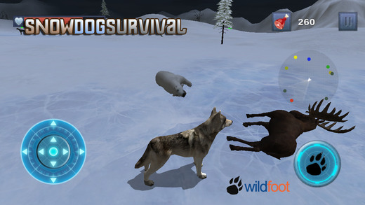 Snow Dog Survival