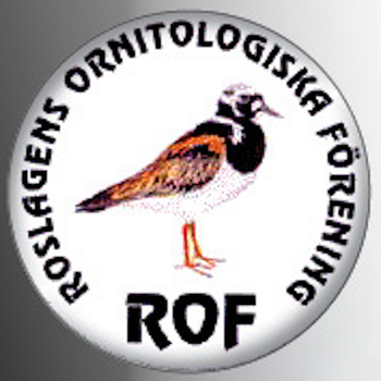 Roslagens Ornitologiska Förening LOGO-APP點子