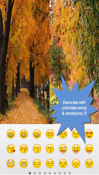 Happy Autumn Greeting Cards