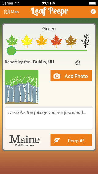 Foliage Leaf Peepr Find and Report Fall Colors in New England