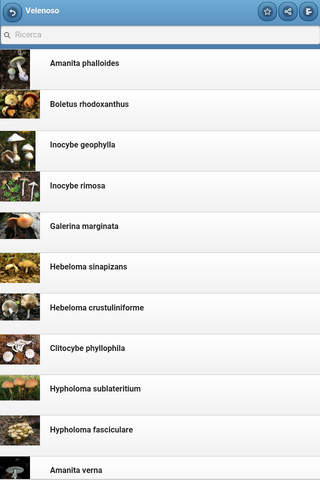 Directory of mushrooms screenshot 2